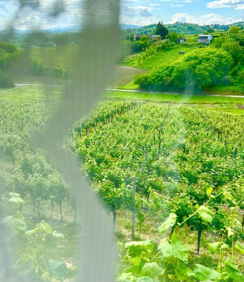 Wine Paradise Sveti Ivan Zelina Zewnętrze zdjęcie