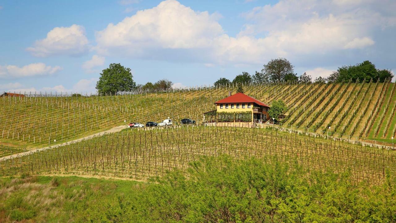 Wine Paradise Sveti Ivan Zelina Zewnętrze zdjęcie